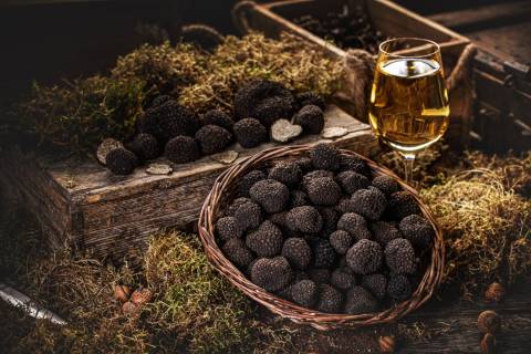 Périgord truffle