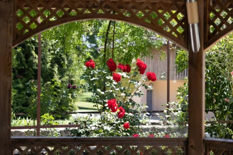 La Saint Valentin Au Moulin